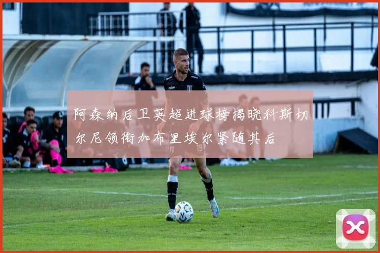 阿森纳后卫英超进球榜揭晓科斯切尔尼领衔加布里埃尔紧随其后
