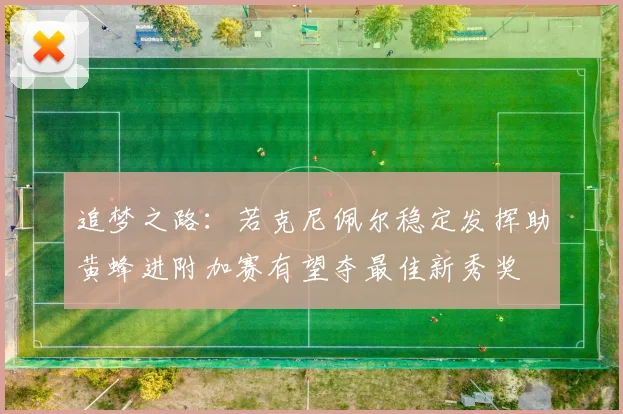 追梦之路：若克尼佩尔稳定发挥助黄蜂进附加赛有望夺最佳新秀奖